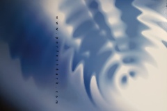 20211107_110102